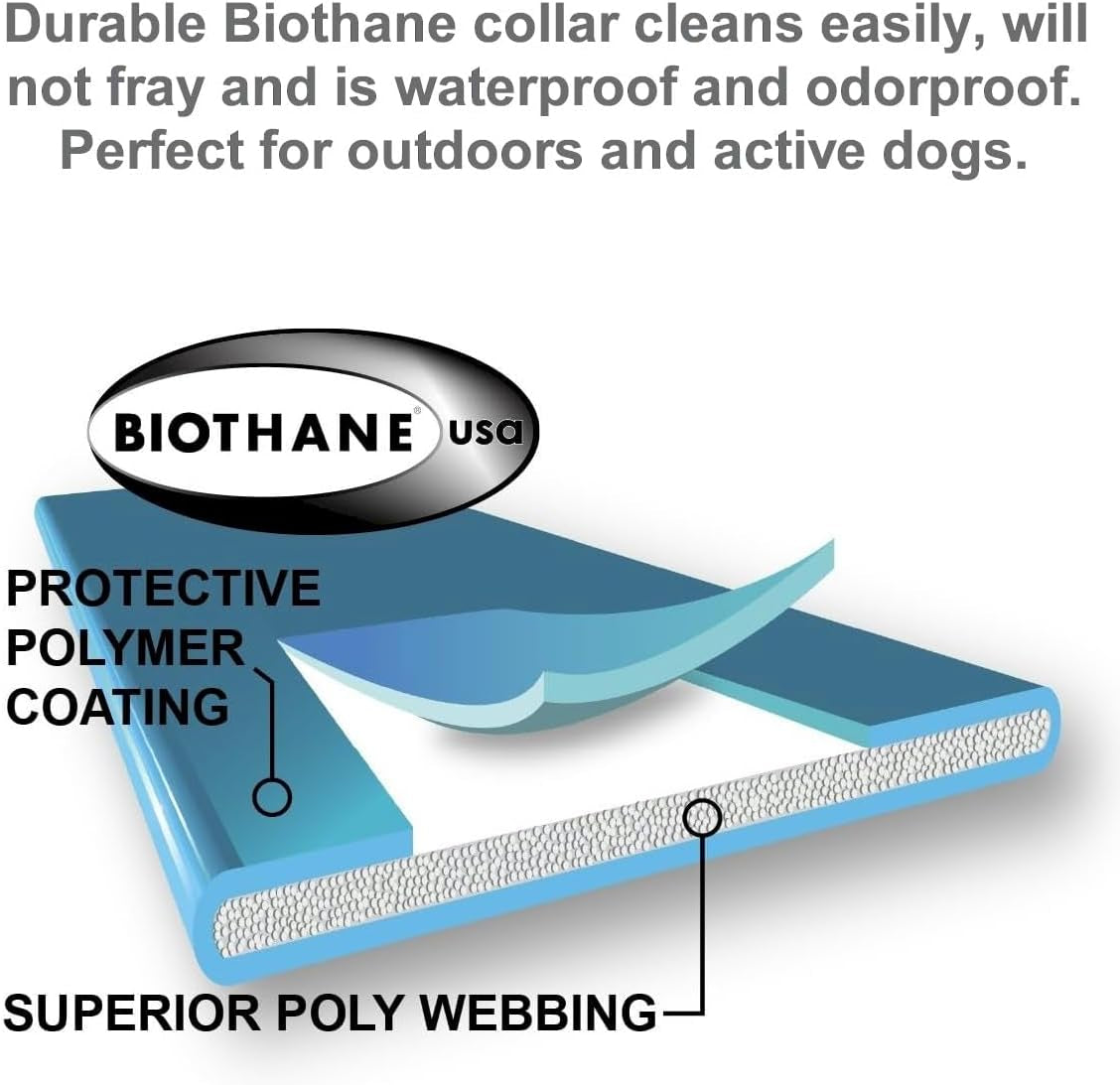 E-Collar Mini ET-300 Remote Dog Training Collar – 1/2 Mile Range, Waterproof & Rechargeable, 100 Levels + Vibration + Tone + Light, for 1 Dog Small to Medium, Zen