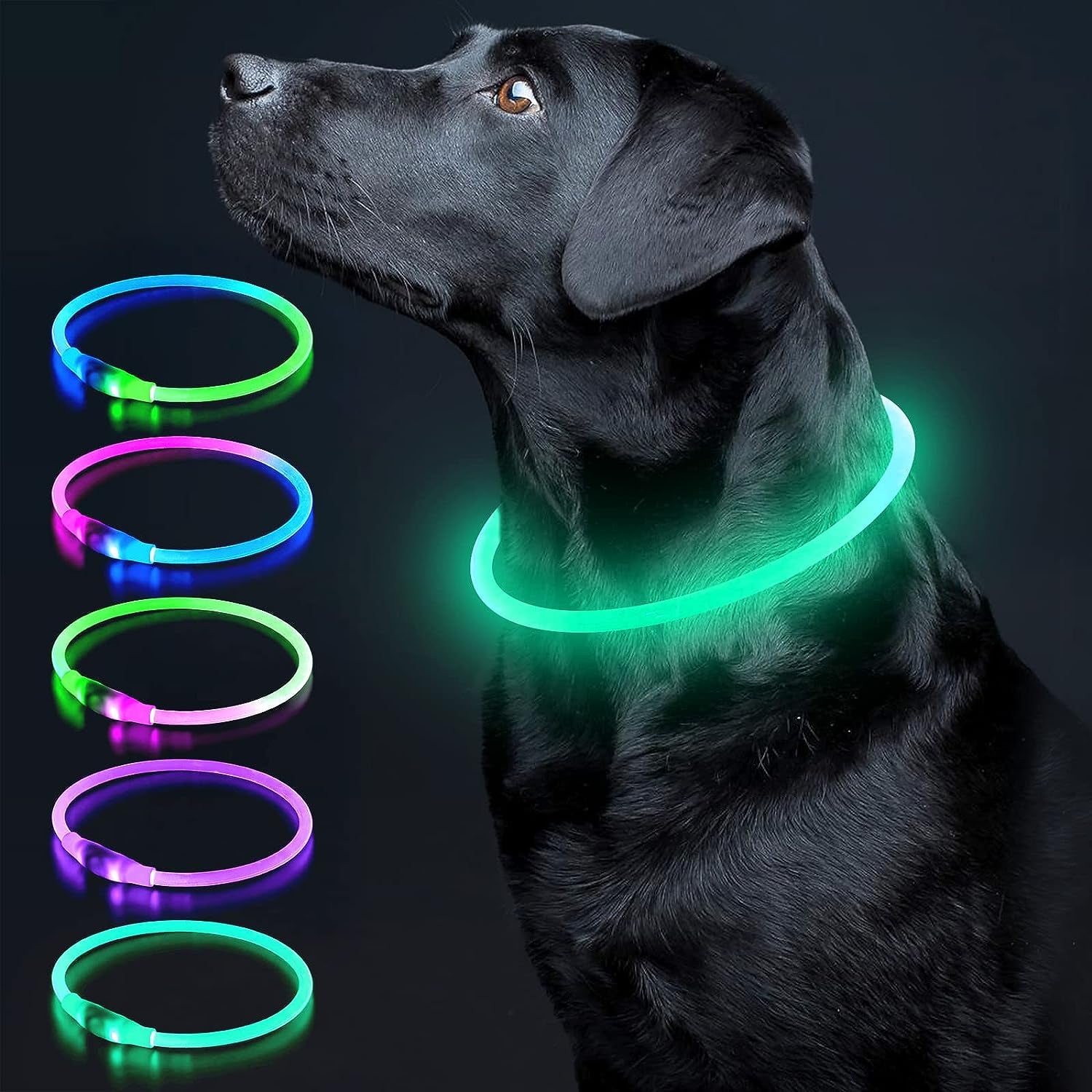 USB Rechargeable LED Dog Collar - Glow-in-the-Dark Safety Collar for Large, Medium, and Small Dogs (Cyan)