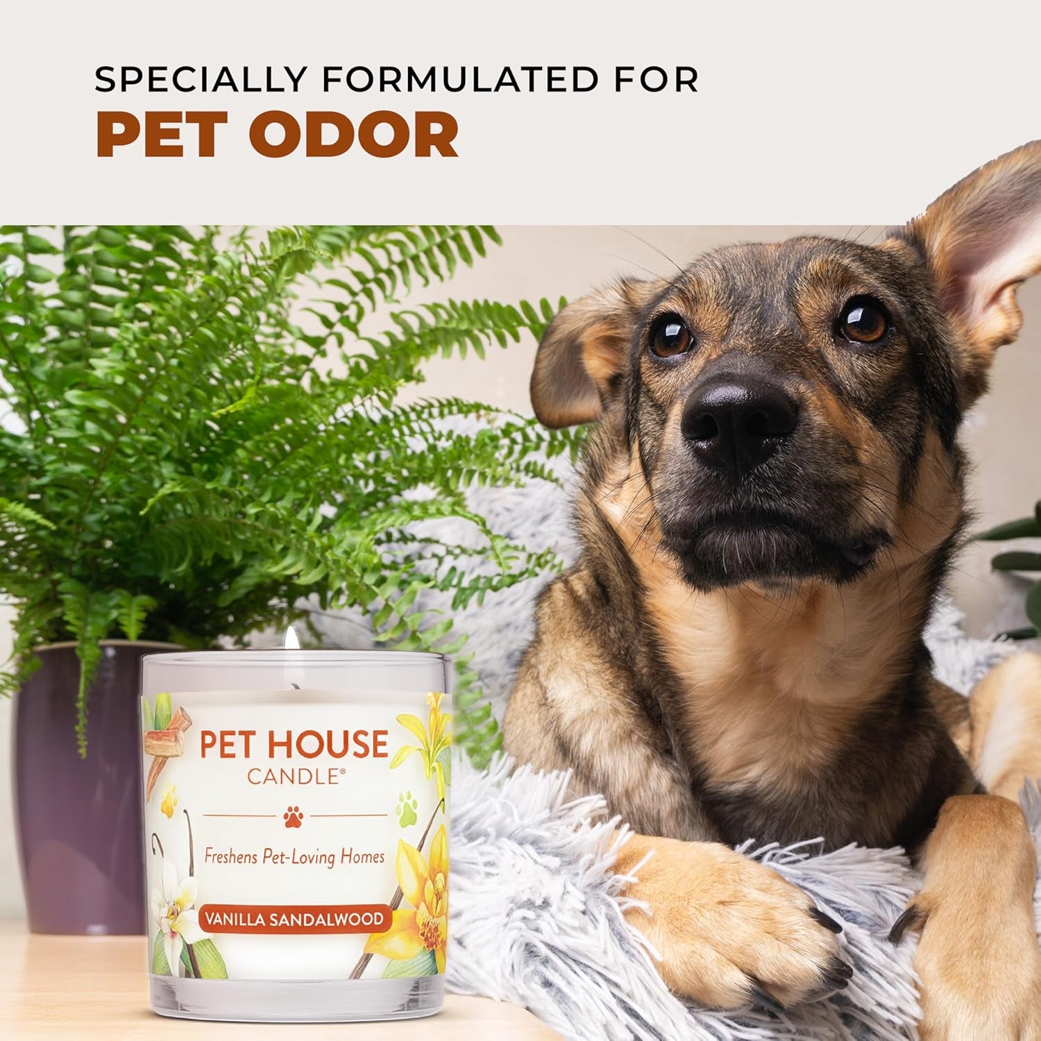 Pet House Pumpkin Spice Scented Candles - Long-Lasting, Clean-Burning Soy Wax, 2 Pack for Pet Odor Control