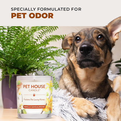 Pet House Pumpkin Spice Scented Candles - Long-Lasting, Clean-Burning Soy Wax, 2 Pack for Pet Odor Control