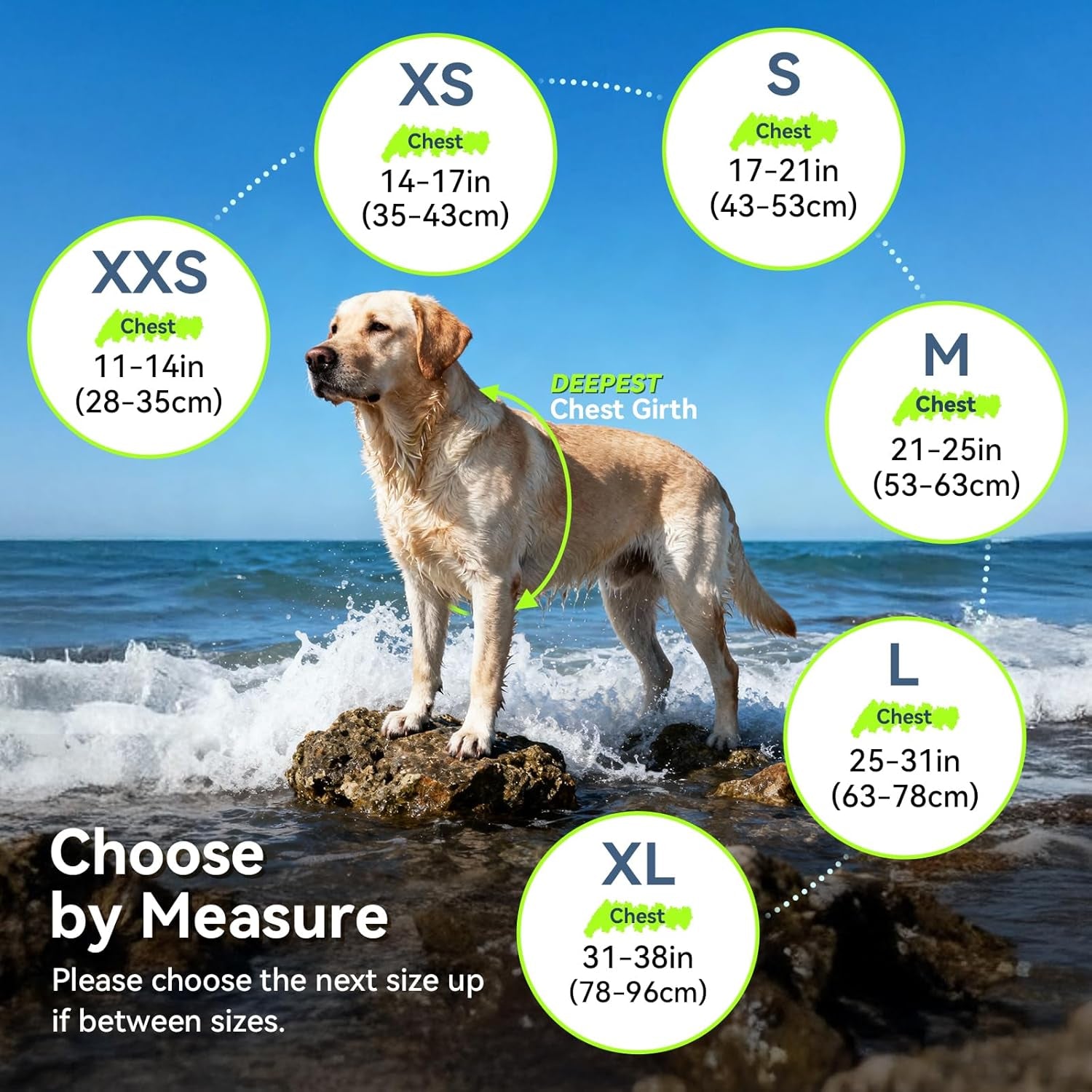 Front Float Dog Life Vest - Premium Life Jacket for Swimming and Boating with Chin Float and Handle, Ripstop Material and Enhanced Buoyancy for Puppies, Size S, Bright Green