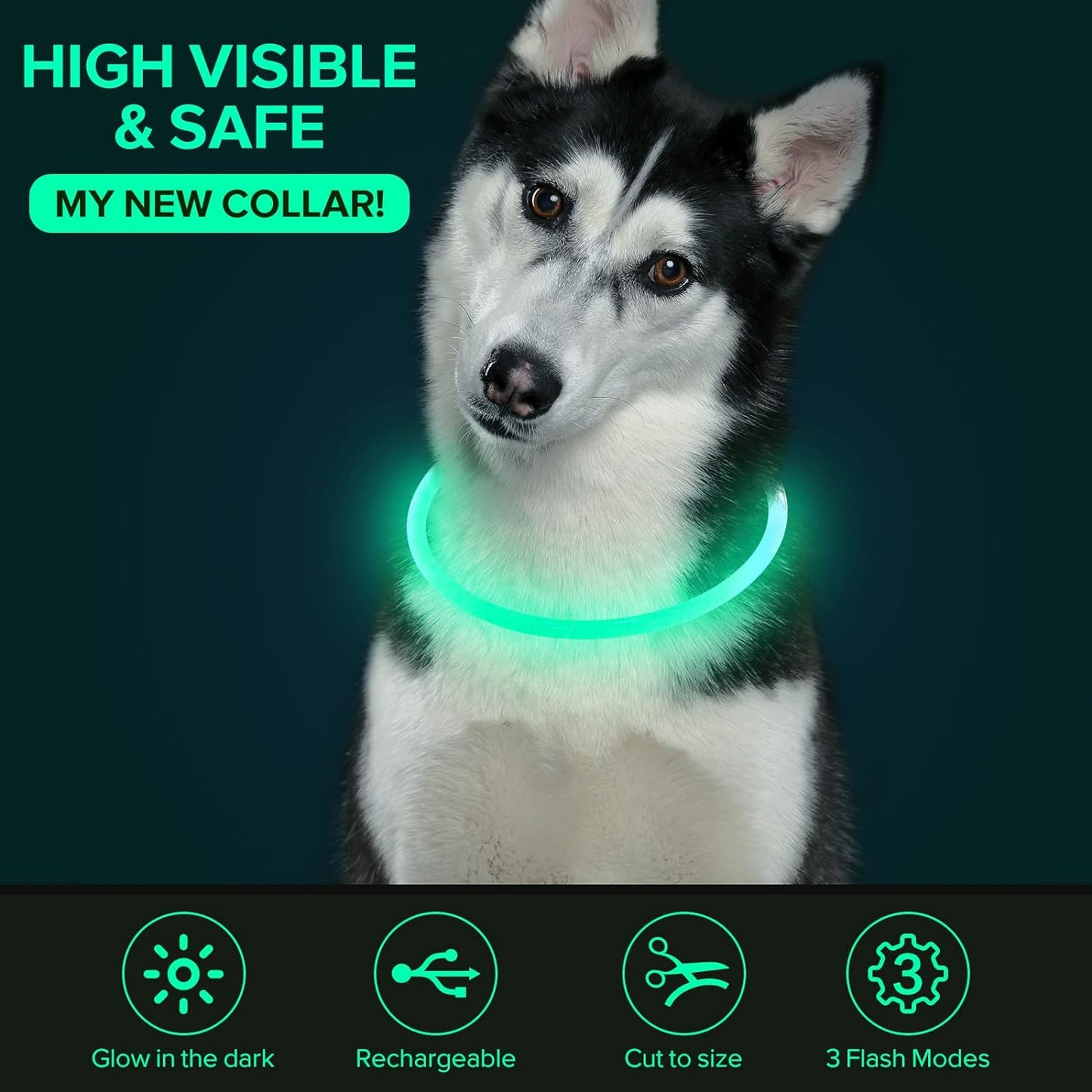 USB Rechargeable LED Dog Collar - Glow-in-the-Dark Safety Collar for Large, Medium, and Small Dogs (Cyan)