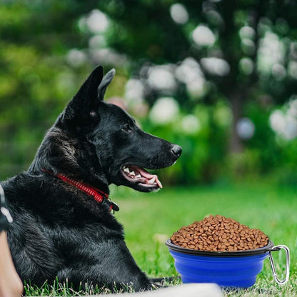 Large Collapsible Dog Bowls - 2 Pack Portable Water and Feeding Dishes for Pets, Includes Carabiners (Large, Blue & Green)