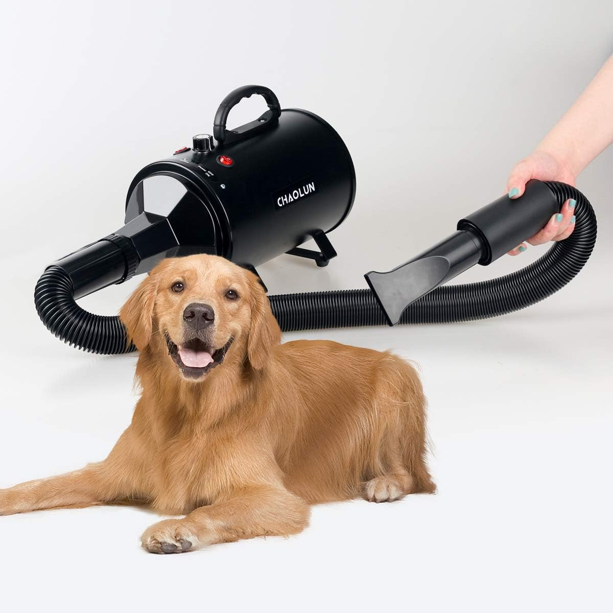 Professional High-Velocity Dog Grooming Dryer with Adjustable Speed and Heating Function, Black