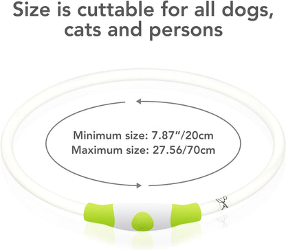 USB Rechargeable LED Dog Collar - Glow-in-the-Dark Safety Collar for Large, Medium, and Small Dogs (Cyan)