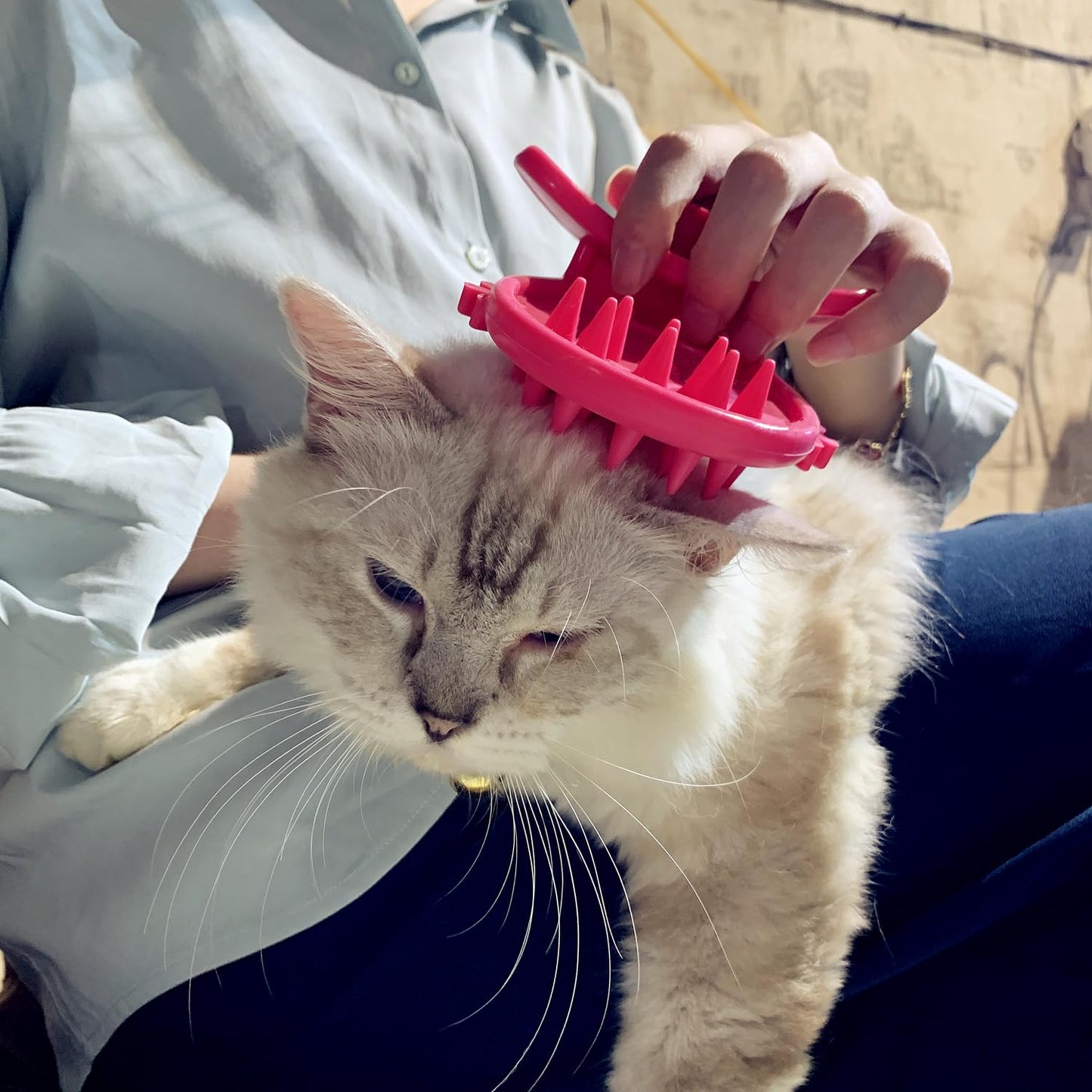Cat Grooming Brush for Shedding, Soft Massage Tongue Brush for Cats, Comforting Pet Gift