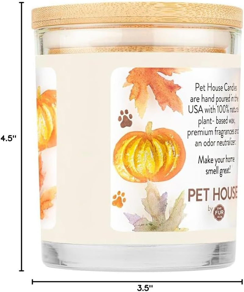 Pet House Pumpkin Spice Scented Candles - Long-Lasting, Clean-Burning Soy Wax, 2 Pack for Pet Odor Control