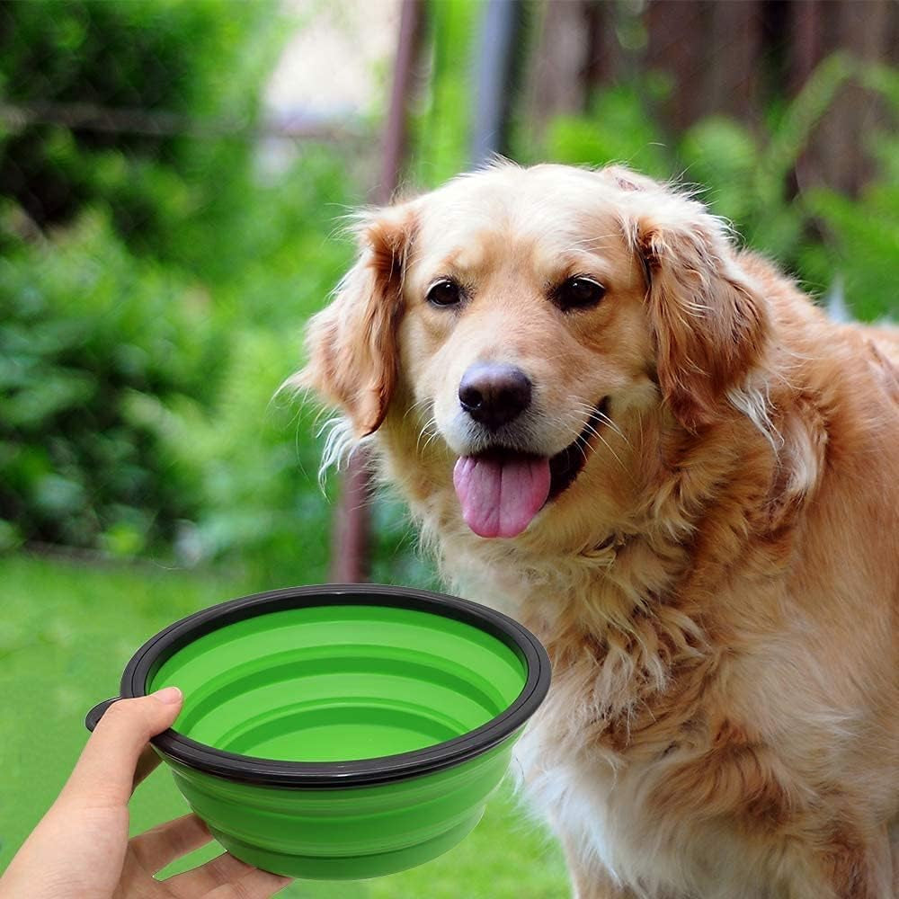 Large Collapsible Dog Bowls - 2 Pack Portable Water and Feeding Dishes for Pets, Includes Carabiners (Large, Blue & Green)