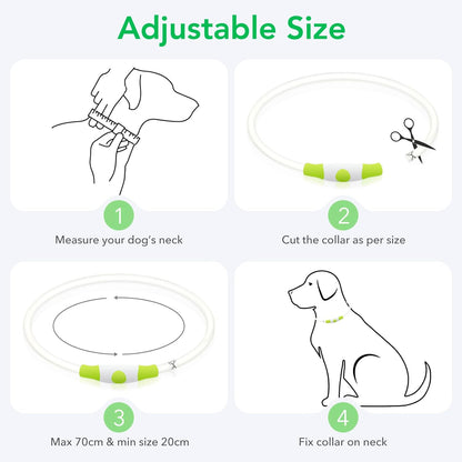 USB Rechargeable LED Dog Collar - Glow-in-the-Dark Safety Collar for Large, Medium, and Small Dogs (Cyan)
